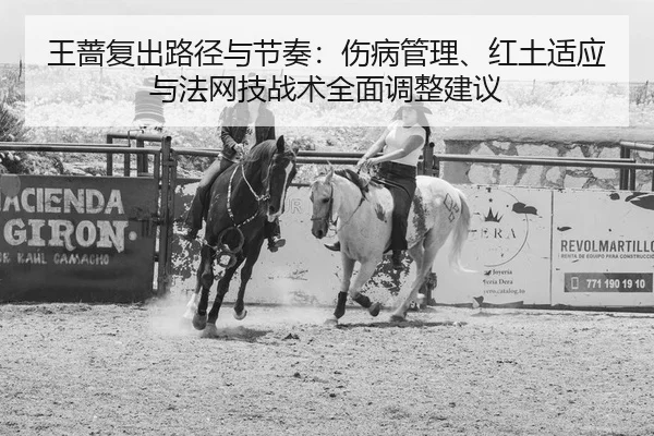 wang-qiang-fu-chu-lu-jing-yu-jie-zou-shang-bing-guan-li-hong-tu-shi-ying-yu-fa-wang-ji-zhan-shu-quan-mian-tiao-zheng-2-888.jpg
